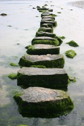 mossy_stepping_stone_final